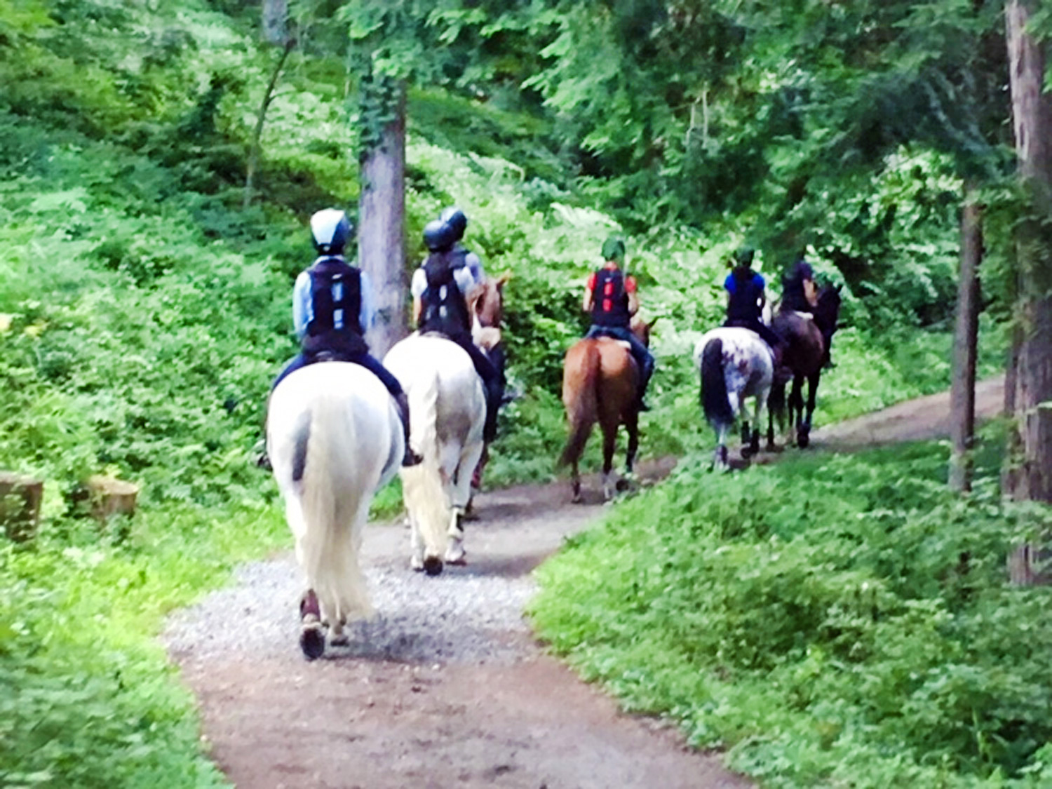 部員からのメッセージ