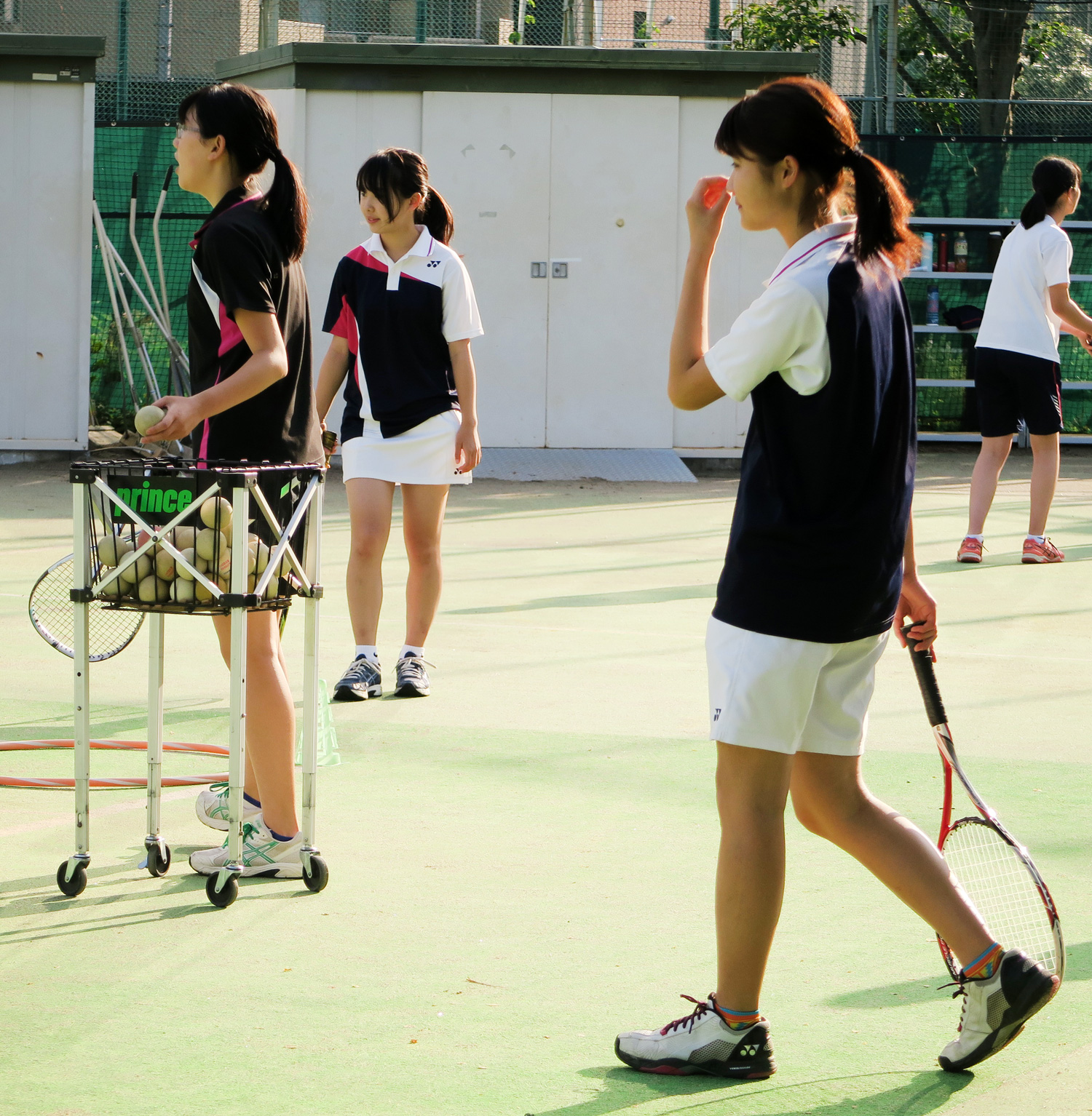 活動日 ・ 活動場所 ・ 活動内容